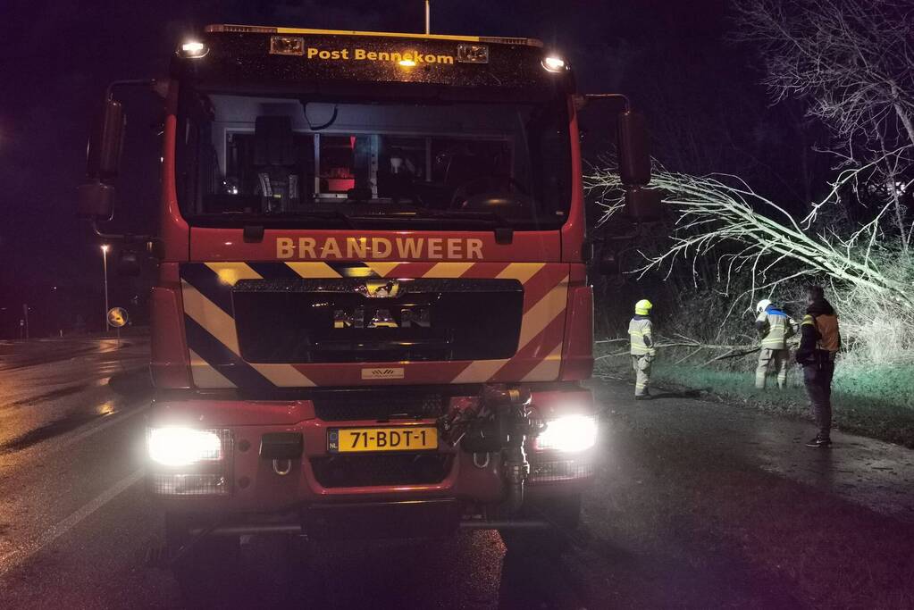 Brandweer zaagt twee bomen om