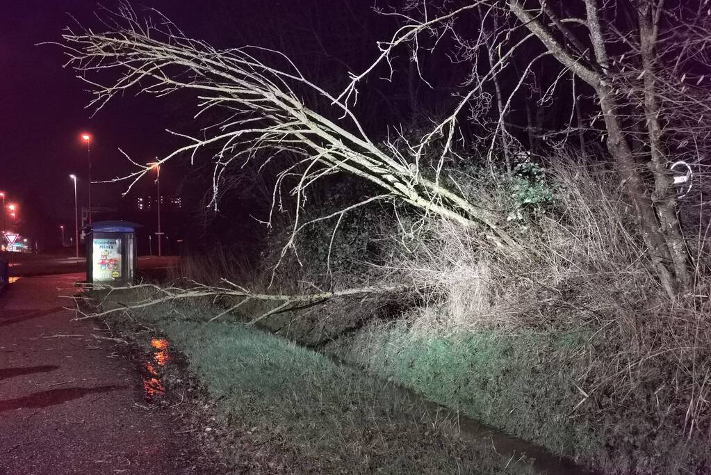 Brandweer zaagt twee bomen om
