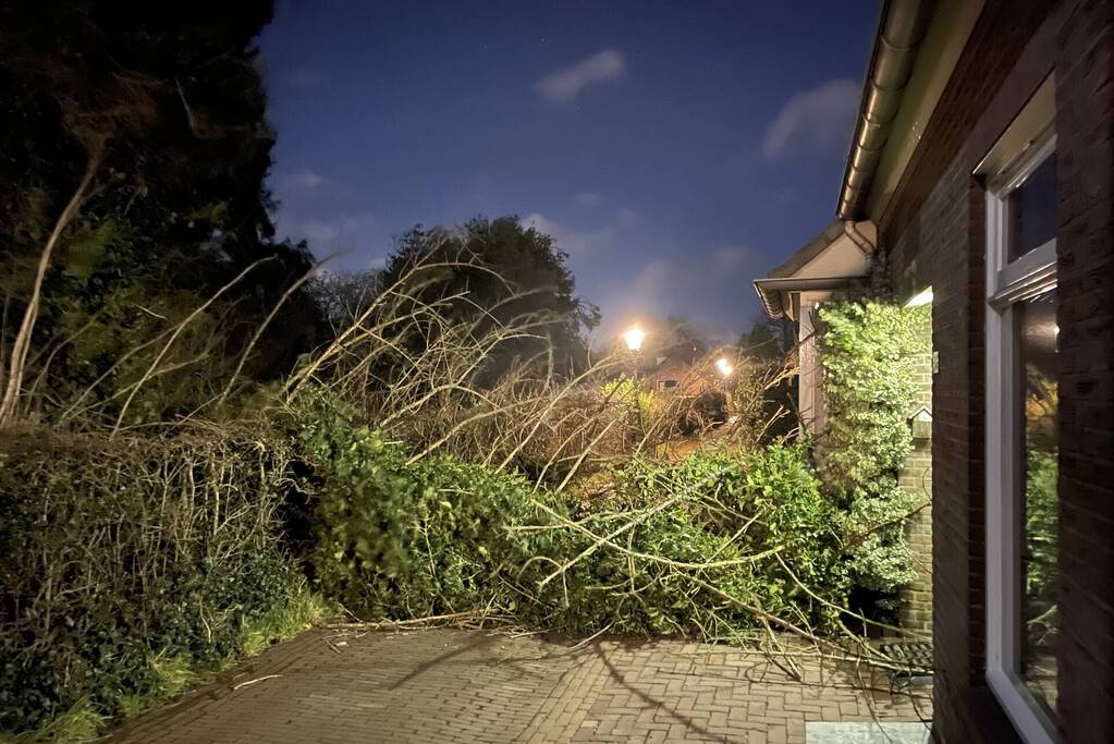 Twee omgewaaide bomen beschadigde woning