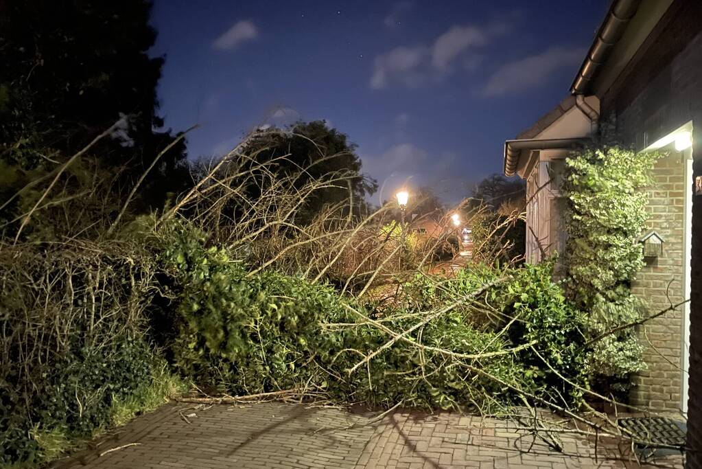 Twee omgewaaide bomen beschadigde woning