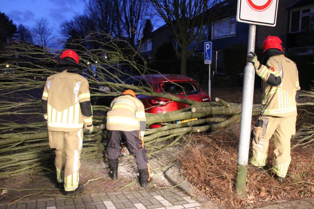 Autoruit gesneuveld door omgewaaide boom storm Dudley