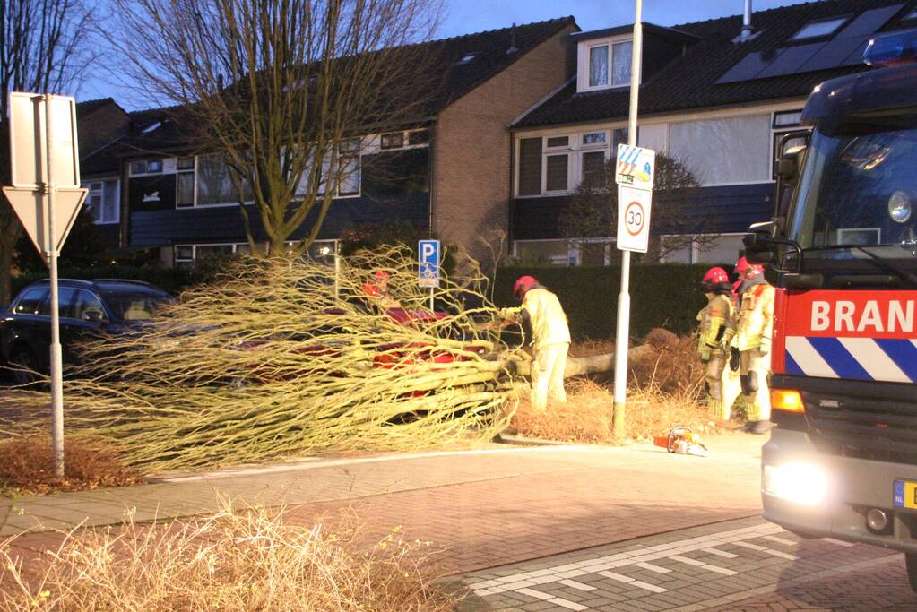 Autoruit gesneuveld door omgewaaide boom storm Dudley