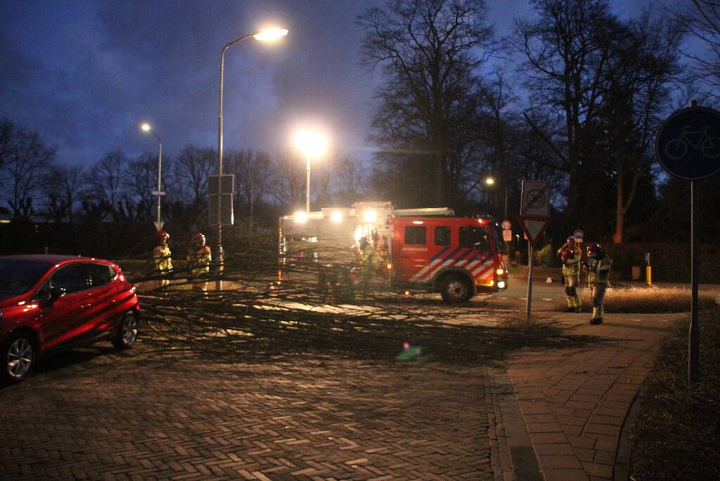Autoruit gesneuveld door omgewaaide boom storm Dudley