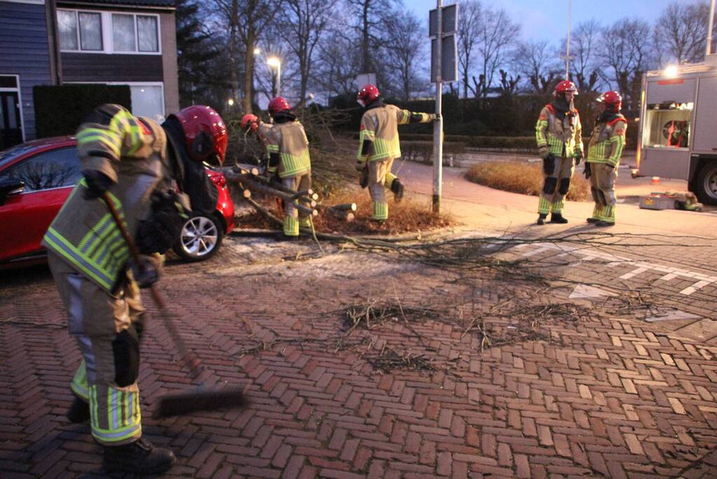 Autoruit gesneuveld door omgewaaide boom storm Dudley
