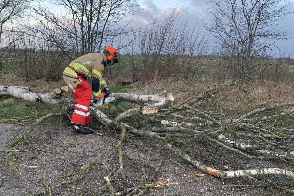 Boom omgewaaid op wegdek door storm Dudley