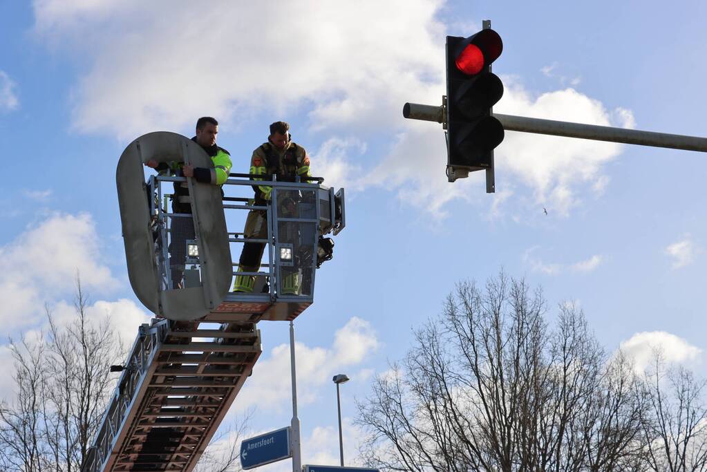 Kap van verkeerslicht zorgt voor gevaarlijke situatie
