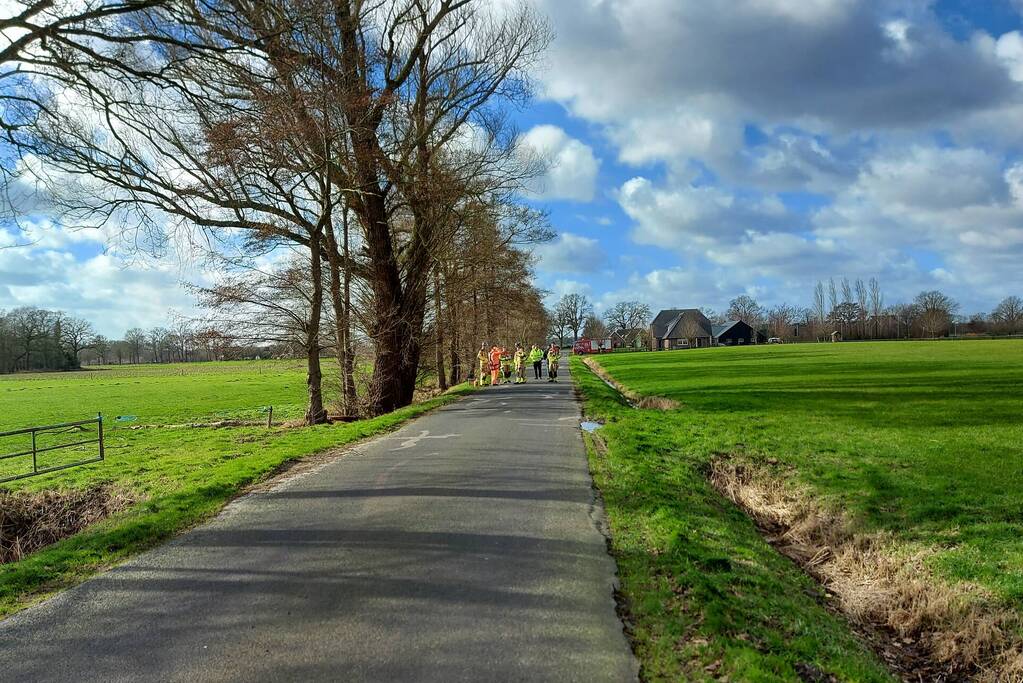 Dikke boom door storm gesplitst