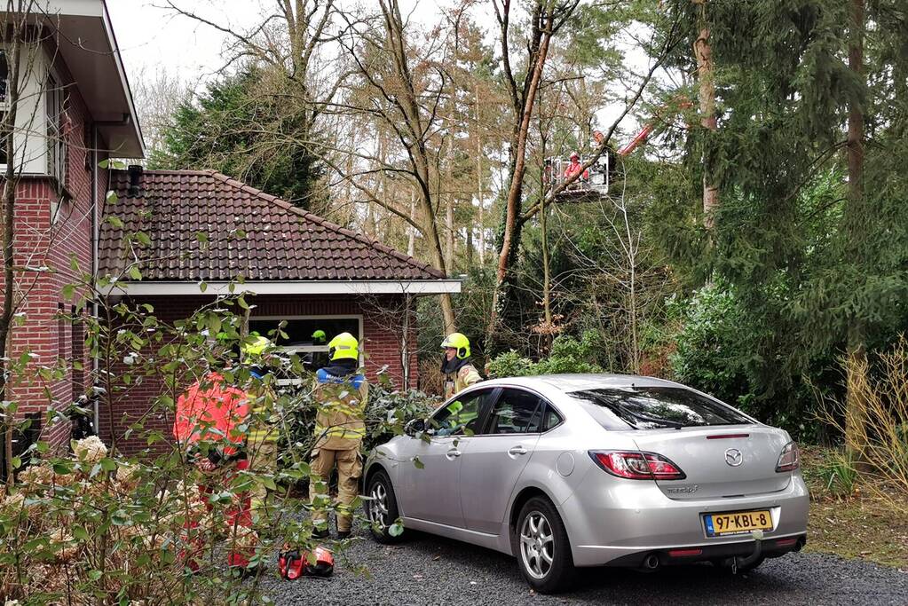 Boom dreigt op woning te vallen