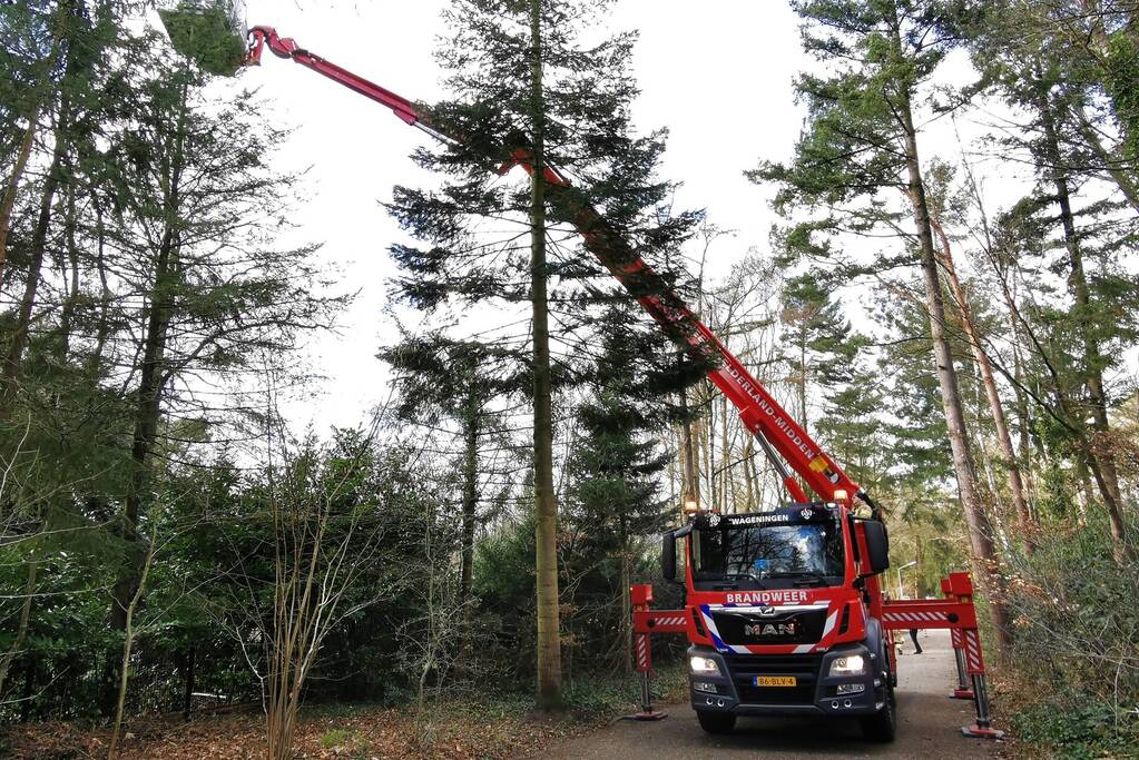 Boom dreigt op woning te vallen