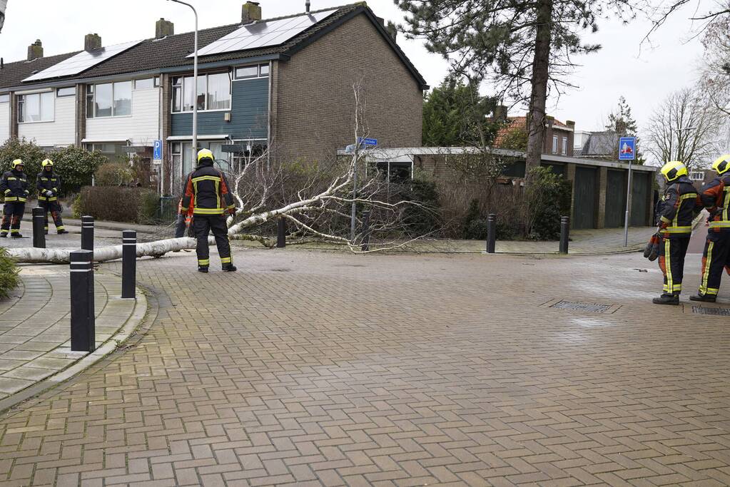 Boomstammen dreigen over weg te vallen
