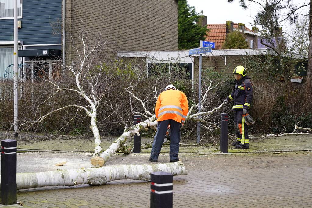 Boomstammen dreigen over weg te vallen