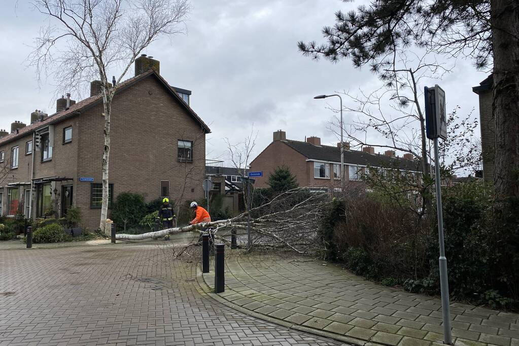 Boomstammen dreigen over weg te vallen