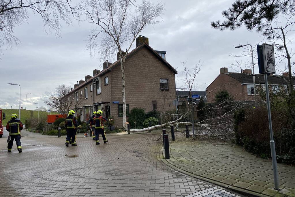 Boomstammen dreigen over weg te vallen