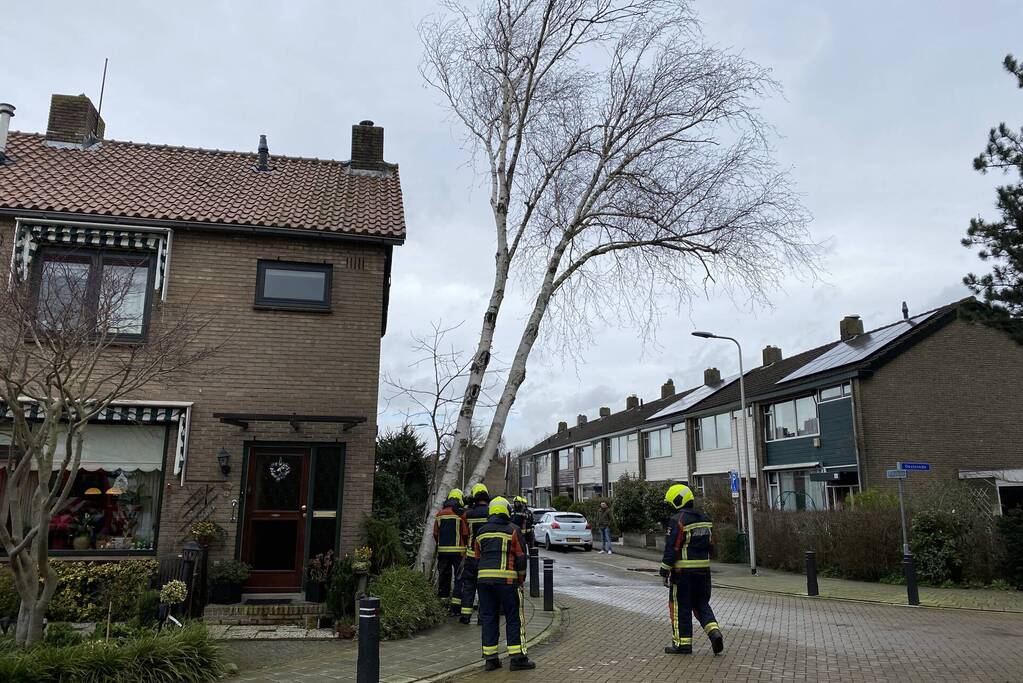 Boomstammen dreigen over weg te vallen