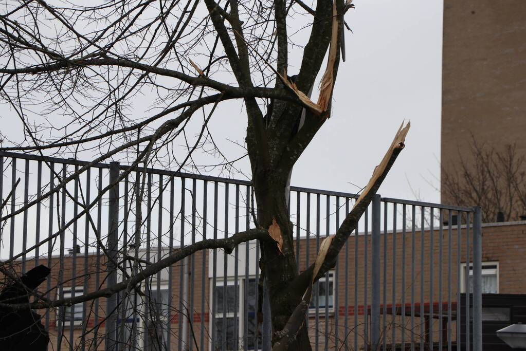 Dakbedekking van flat waait over auto's en lantaarnpalen