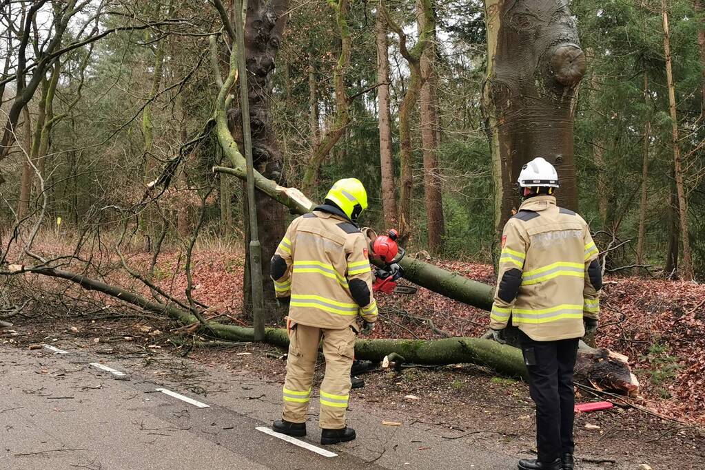 Brandweer zaagt grote tak in stukken
