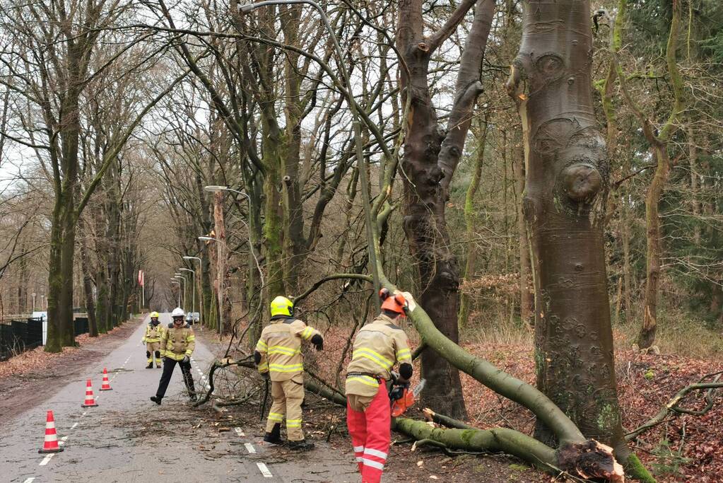 Brandweer zaagt grote tak in stukken