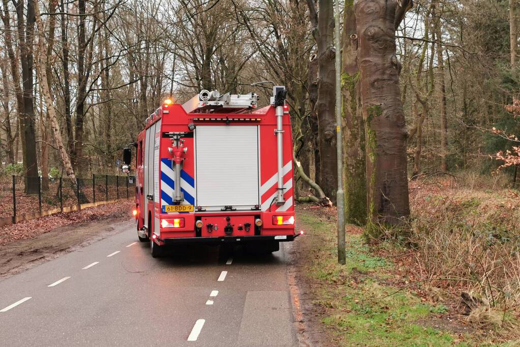 Brandweer zaagt grote tak in stukken
