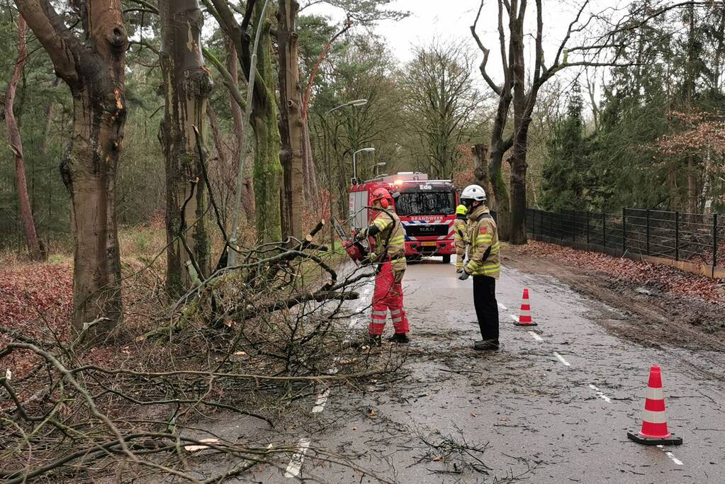 Brandweer zaagt grote tak in stukken