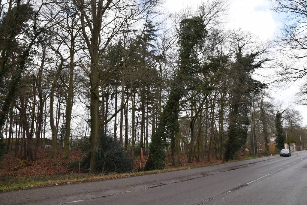 Brandweer laat boom gecontroleerd omvallen