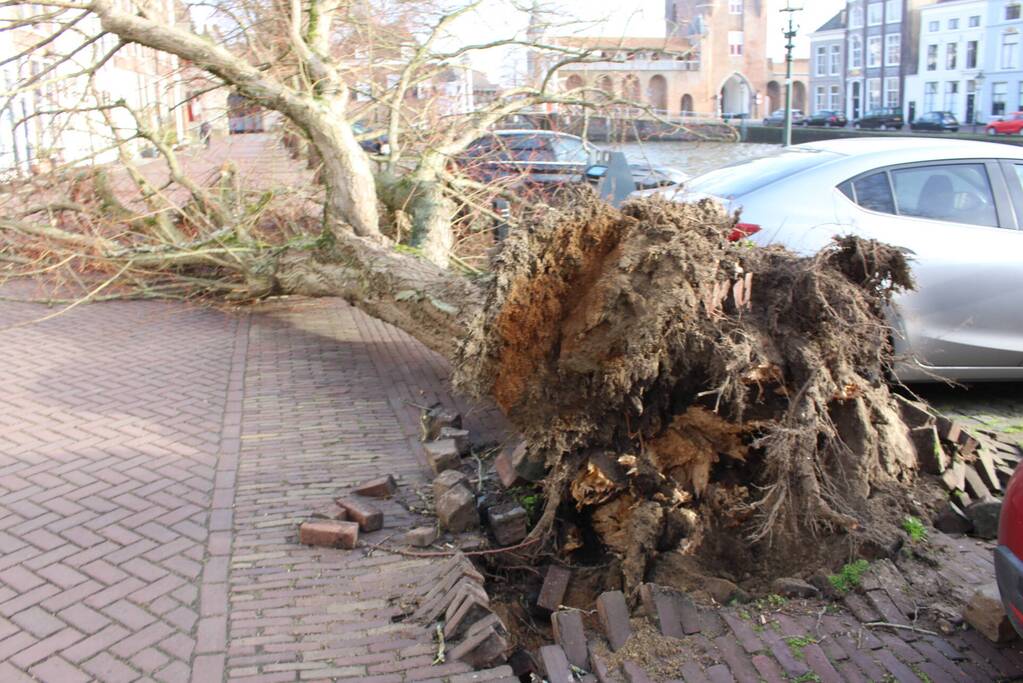 Boom waait rakelings om achter auto