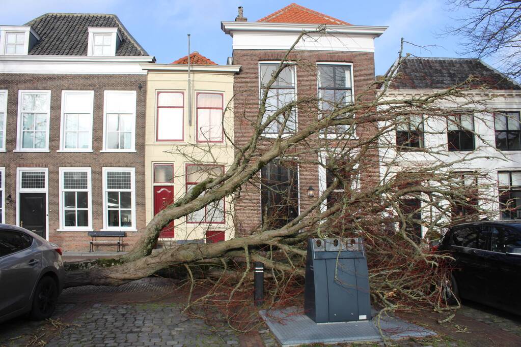 Boom waait rakelings om achter auto