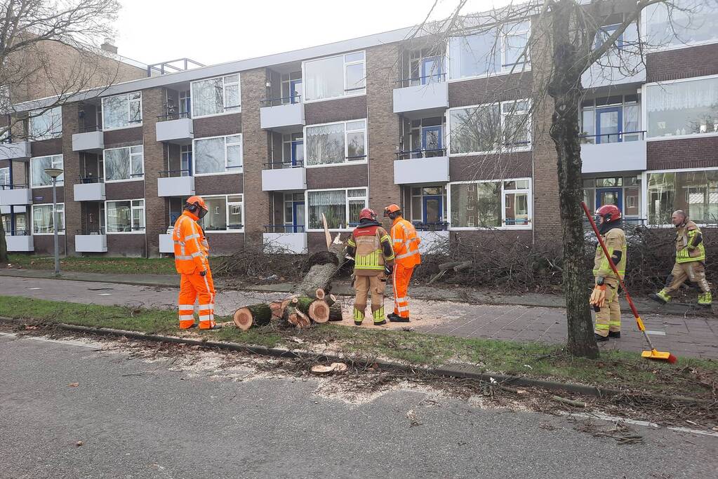 Grote boom waait over fietspad