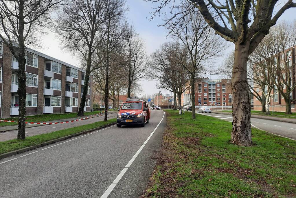 Grote boom waait over fietspad