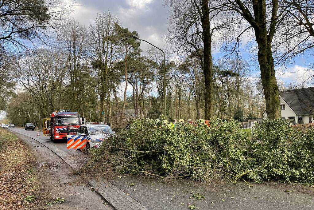 Vrouw en hond bekneld onder boom