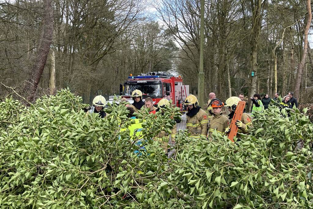 Vrouw en hond bekneld onder boom
