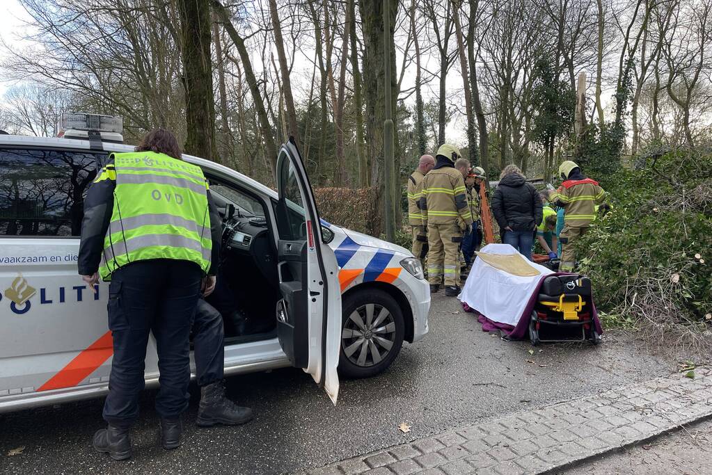 Vrouw en hond bekneld onder boom
