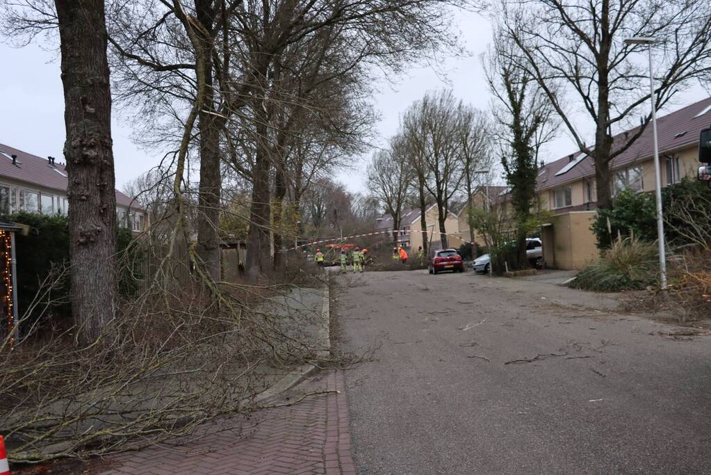 Drie bomen waaien om in dezelfde straat