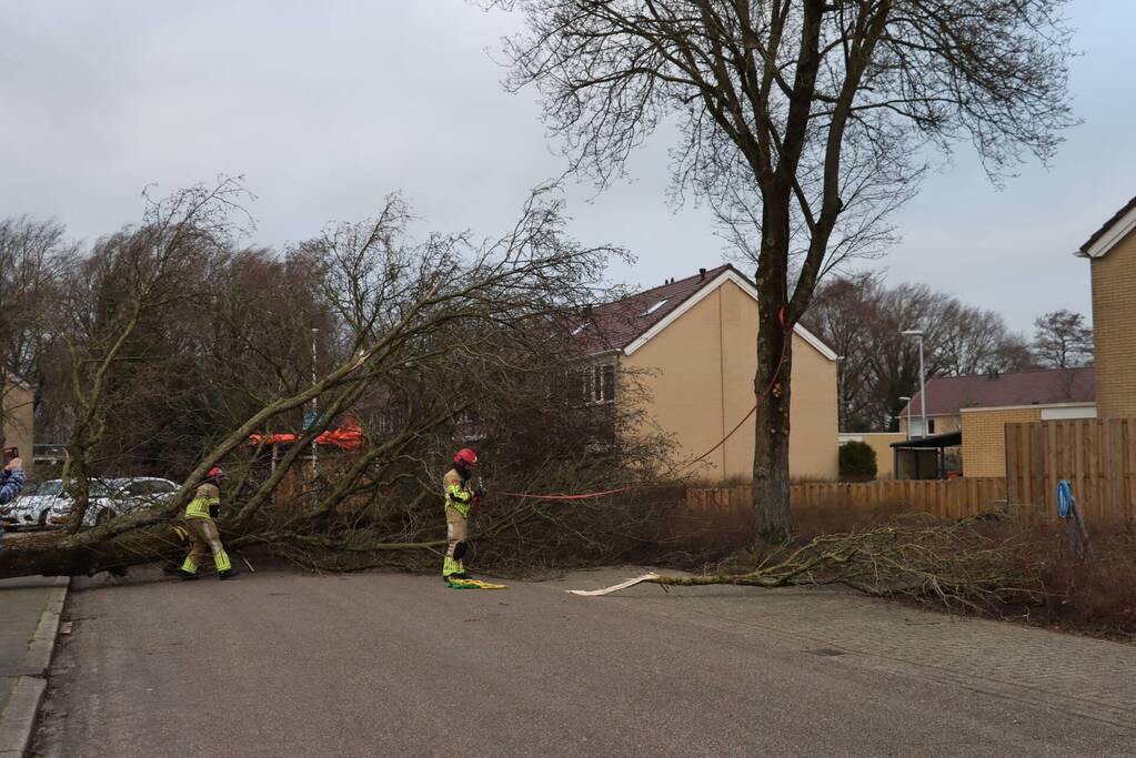 Drie bomen waaien om in dezelfde straat
