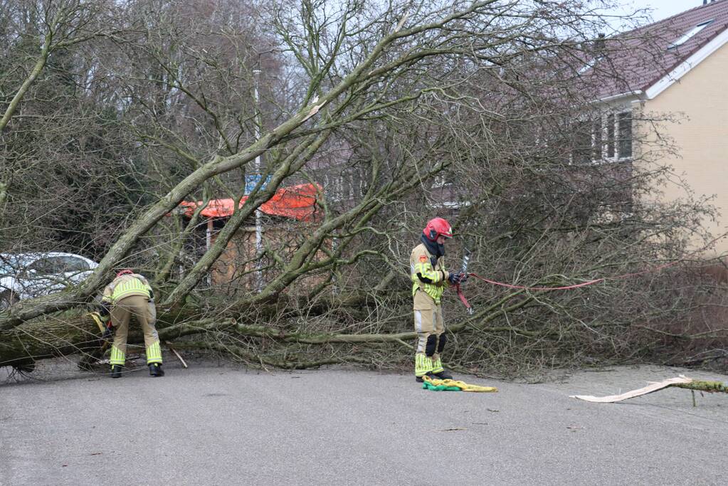 Drie bomen waaien om in dezelfde straat