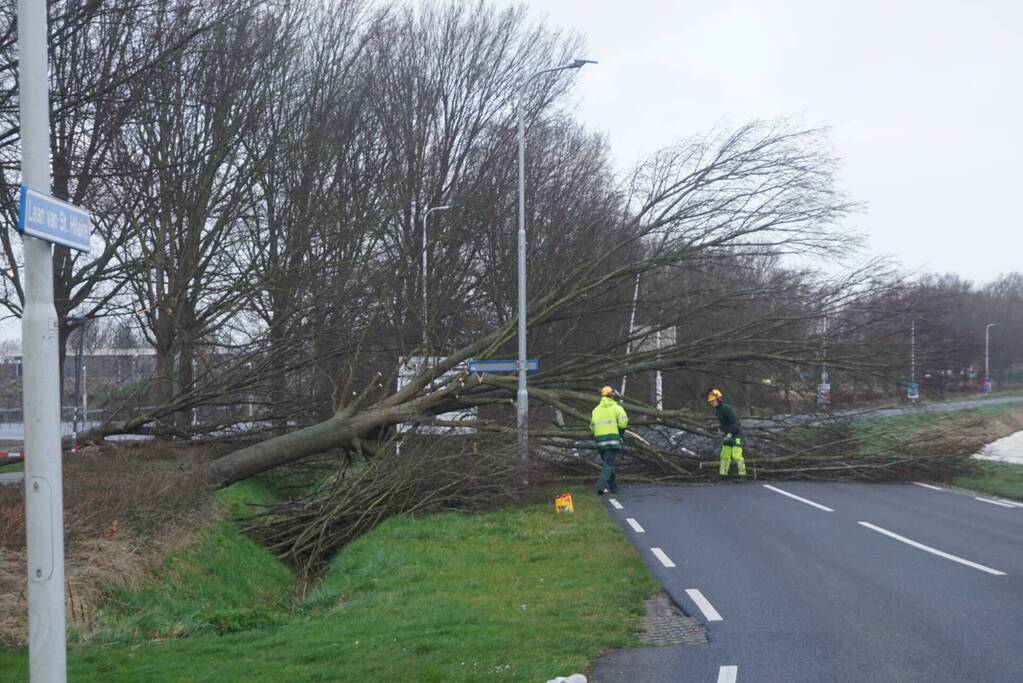 Omgewaaide boom blokkeren weg