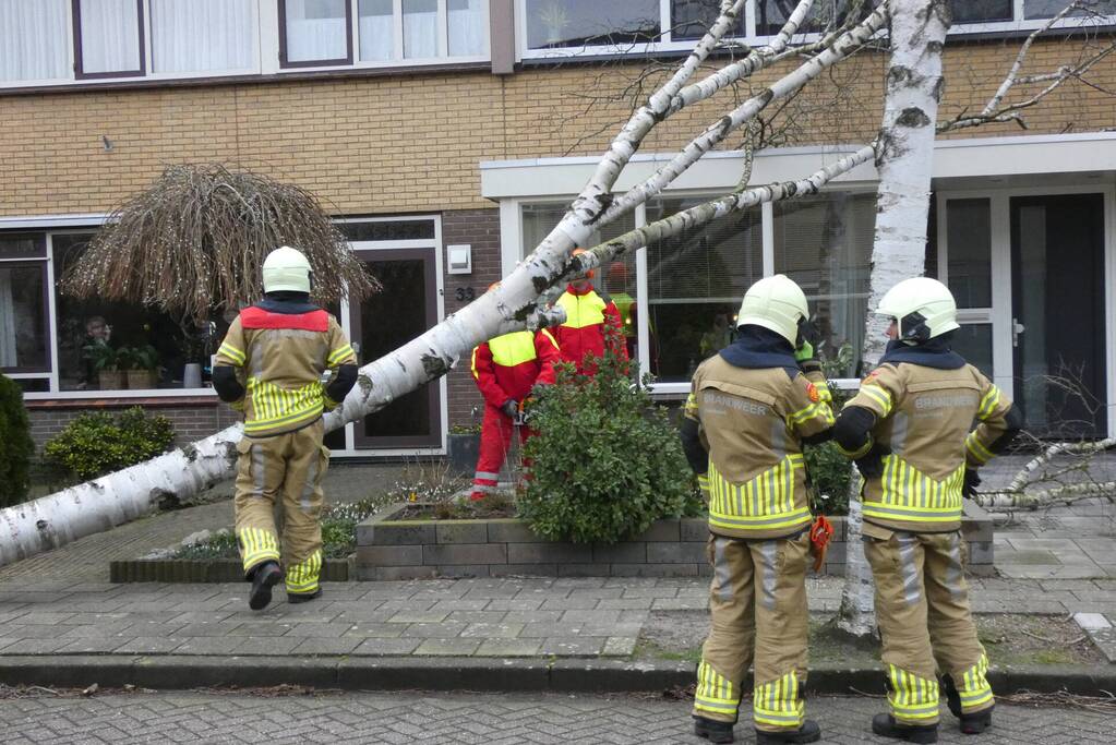 Boom waait tegen woning