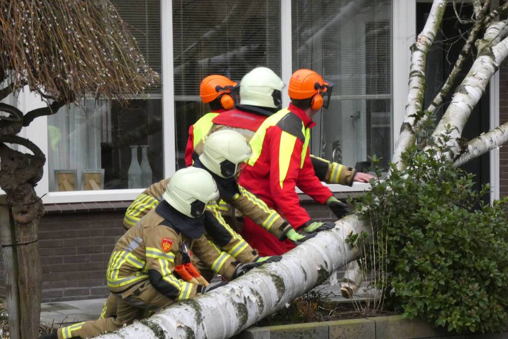 Boom waait tegen woning