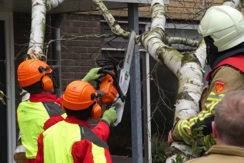 Boom waait tegen woning