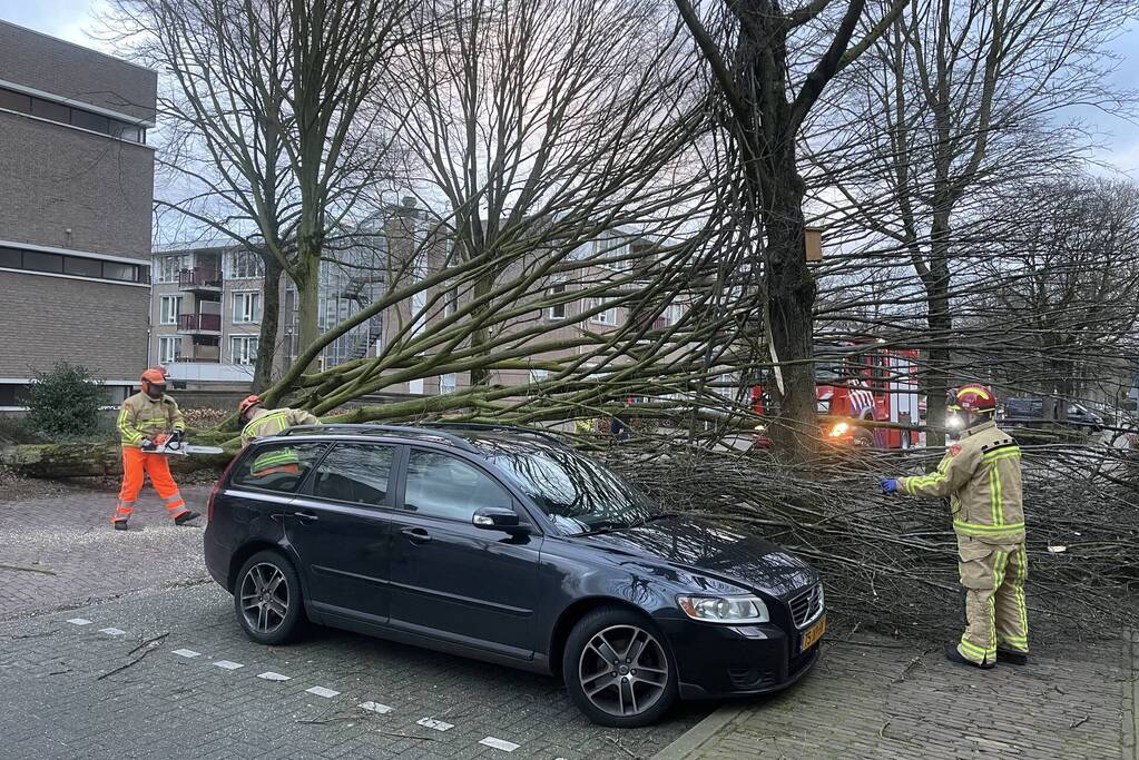 Grote boom valt op geparkeerde auto