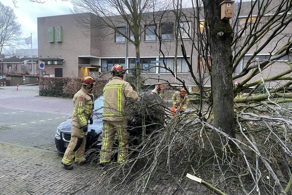 Grote boom valt op geparkeerde auto