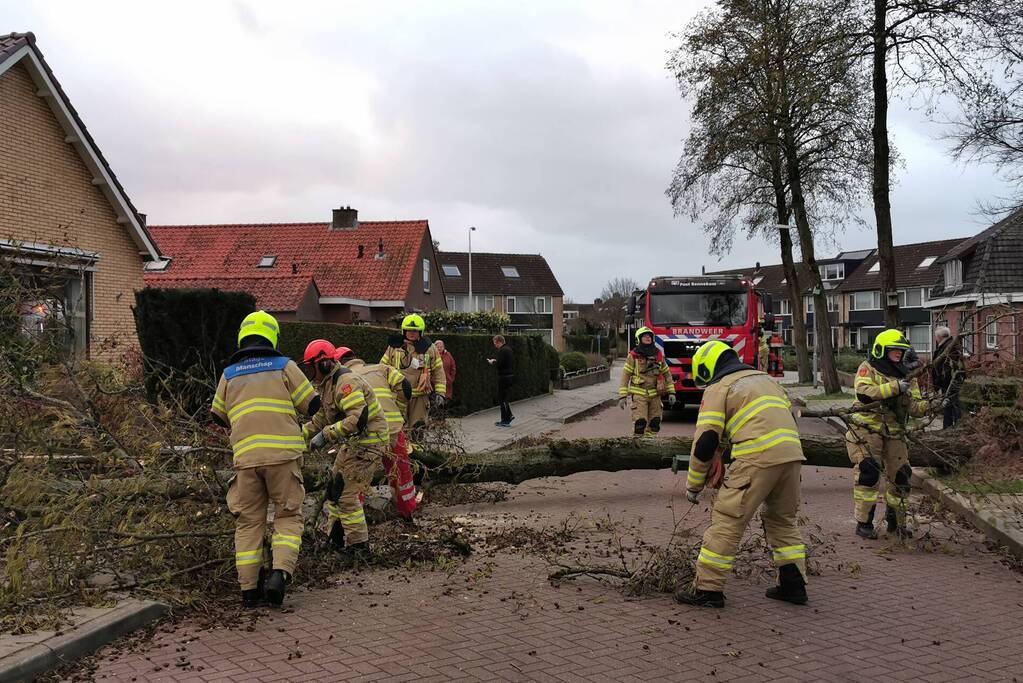 Grote boom omgezaagd door brandweer