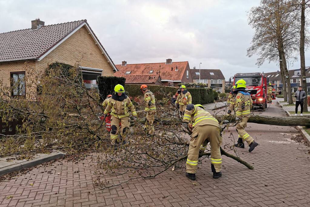 Grote boom omgezaagd door brandweer
