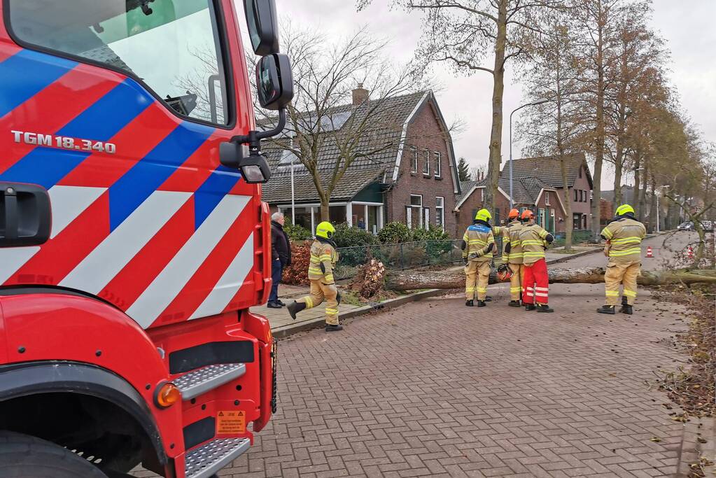 Grote boom omgezaagd door brandweer