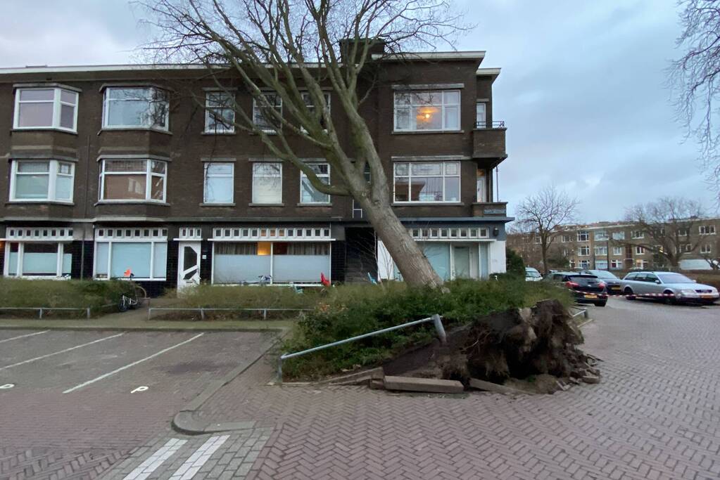 Grote boom waait tegen appartementencomplex aan