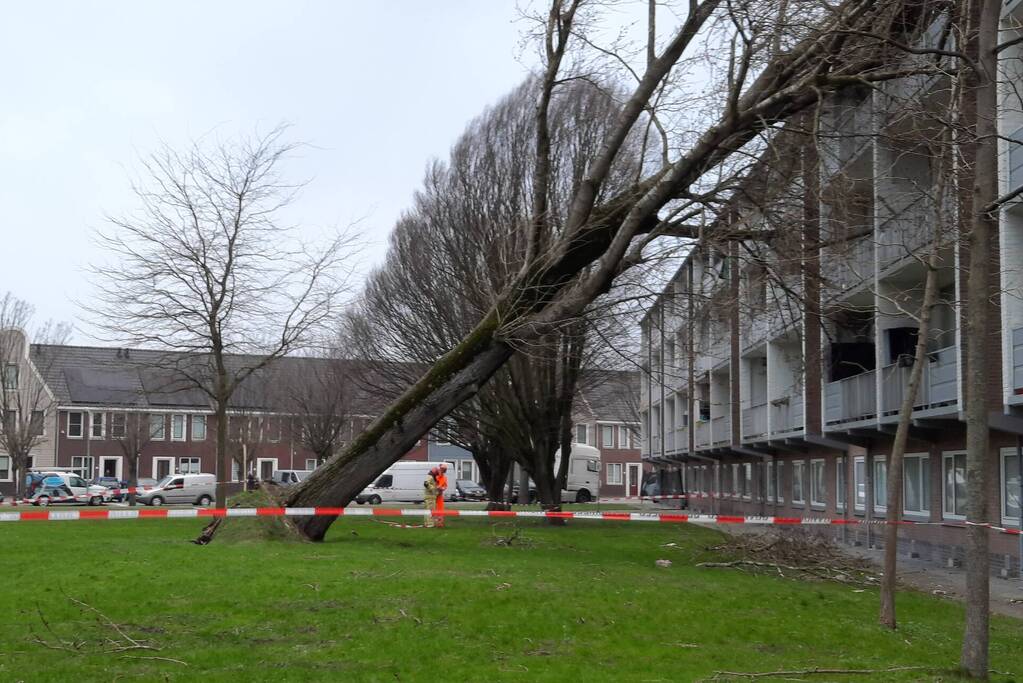 Boom waait tegen flat