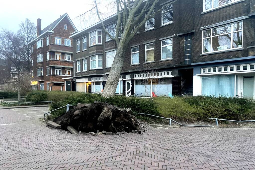 Grote boom waait tegen appartementencomplex aan