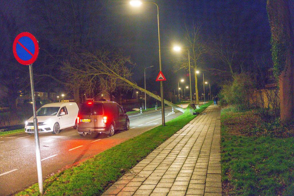 Weg afgesloten door omgevallen bomen
