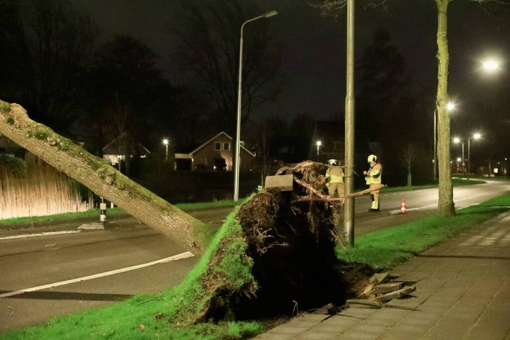 Weg afgesloten door omgevallen bomen