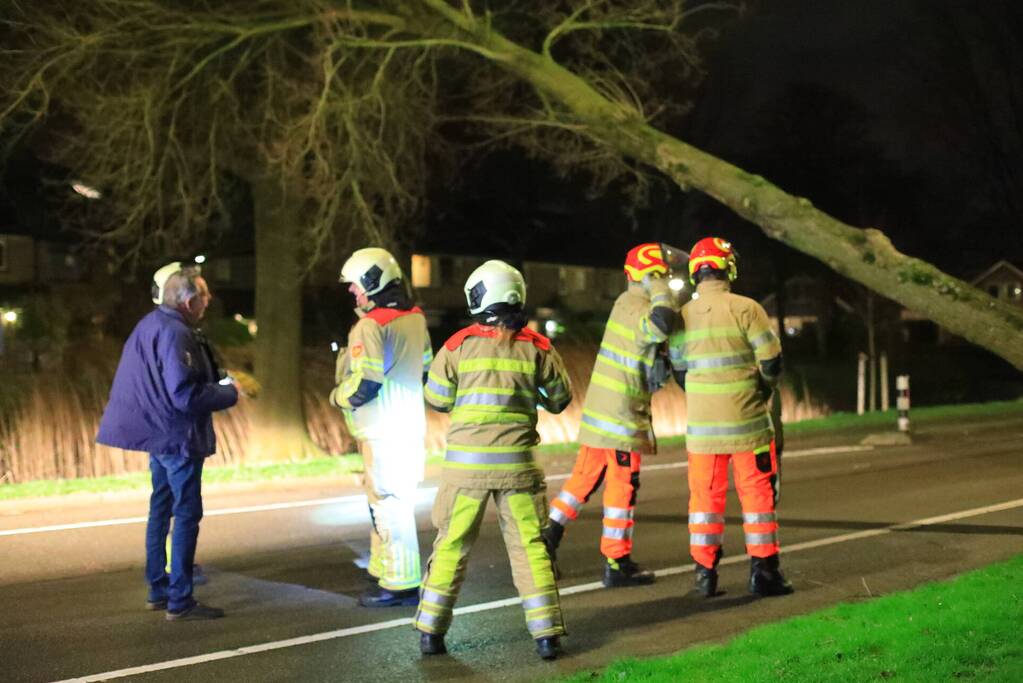 Weg afgesloten door omgevallen bomen