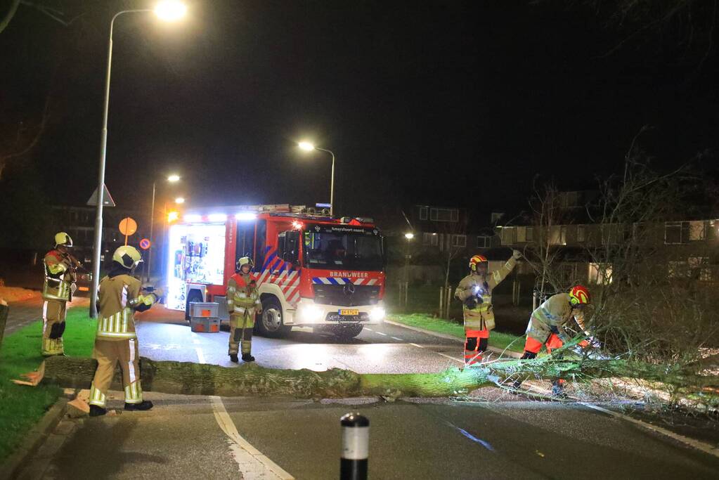 Weg afgesloten door omgevallen bomen